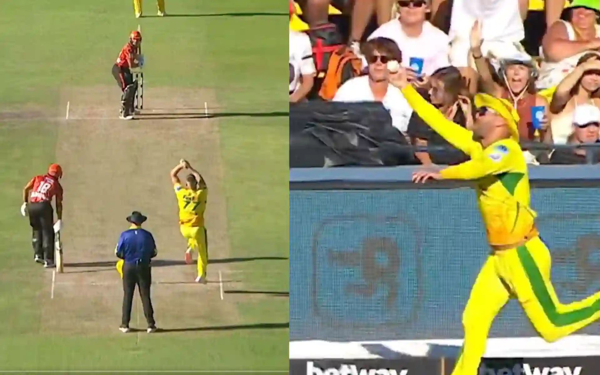 [Watch] Unbelievable! SA Star Pulls Off A Breathtaking One-Handed Catch In SA20